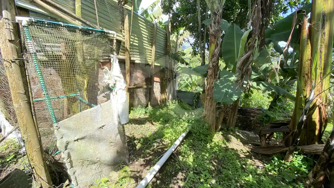 Vereda La Virginia Puente Tierra Yotoco